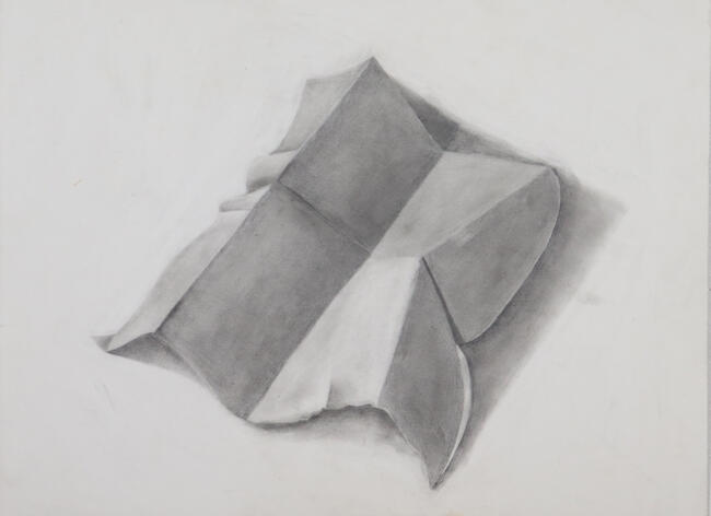 Materials: 16 x 20 inches Peterboro Illustration Board, graphite Pencil This piece uses the technique of realism to draw a crippled paper. This was a practice on learning how to blend and create dimension to the image, during my Introduction to Studio Art