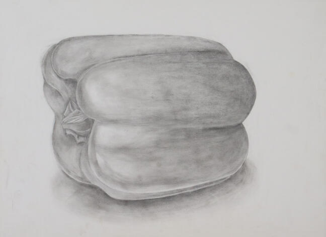 Materials: 16 x 20 inches Peterboro Illustration Board, graphite Pencil This piece uses the technique of realism to draw a pepper. This was a practice in learning how to blend and measure the reference image during my Introduction to Studio Art.