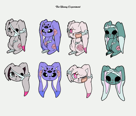 The Bunny Experiment was a design project assignment that had to do with nature. So I took the idea of the experiment used on animals (for example, beauty products) and bunnies, since they are used for experiments.